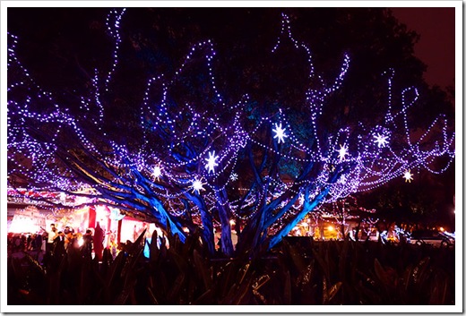2013-taipei-lant-ernfestival_26